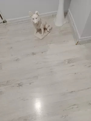 İSRA MOBİLYA KAPI PARKE Edirne/Merkez