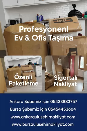 Firma görseli