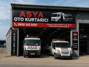Asya Oto Kurtarıcı